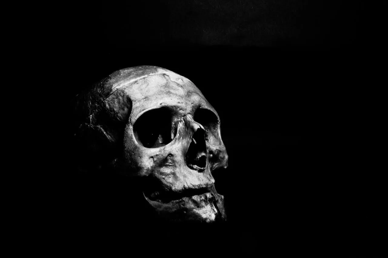 King of the Dark Web